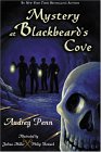 Mystery at Blackbeard's Cove Mystery at Blackbeard's Cove