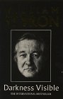 Darkness Visible (Picador Books)