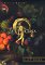 La Cucina: A Novel of Rapture (Hardcover)