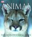 Animal (Hardcover)