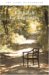 Kabbalah for Beginners: A Beginner's Guide to the Hidden Wisdom