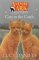 Cats In The Castle