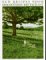 New Recipes From Moosewood Restaurant (Paperback)