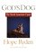 God's Dog: The North American Coyote (Paperback)