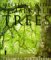 Meetings With Remarkable Trees (Hardcover)