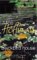 Blackbird House (Paperback)