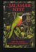 The Jacamar Nest