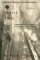 A Single Shot (Paperback)