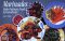 Marinades: Make Ordinary Foods Extraordinary