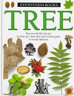 Tree (Eyewitness Books)