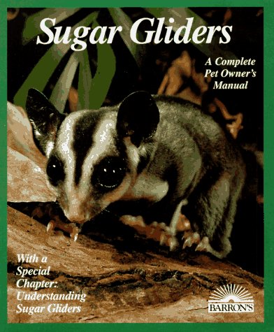 Sugar Gliders by Caroline MacPherson