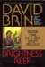 Brightness Reef (Uplift Storm Trilogy, #1)