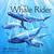The Whale Rider (Paperback)