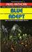 Blue Adept (Apprentice Adept, #2)