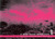 A Drag Queen Named Pipi and Other Poems by Dan Taulapapa McMullin A Drag Queen Named Pipi and Other Poems by Dan Taulapapa McMullin