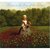 Hana in the Time of Tulips