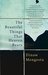 The Beautiful Things That Heaven Bears (paperback)