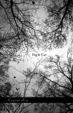 Fog & Car