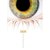 Sight
