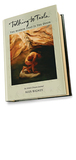 Talking to Tesla - The Mirror that is the Door by alex bigney