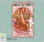 The Cat's Eye Shell (Chain of Charms #4)