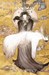 Sandman. Senni Łowcy (The Dream Hunters)