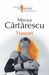 Travesti: Roman