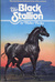 The Black Stallion (The Black Stallion, #1)