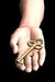 The Key (Paperback)