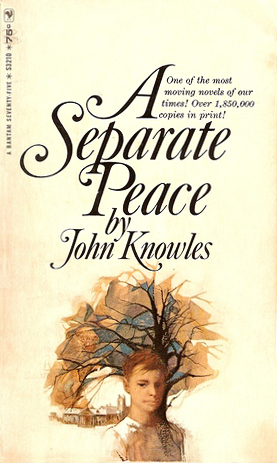 literary analysis essay for a separate peace literary analysis essay for a separate peace