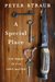 A Special Place by Peter Straub