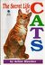 The Secret Life of Cats