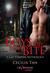 Boys of the Bite: A Gay Vampire Anthology