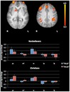The Neural Correlates of Religious and Nonreligious Belief The Neural Correlates of Religious and Nonreligious Belief