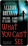 What You Can't See (Includes: Bullet Catcher, #5; Seven Deadly Sins Prequel)