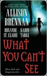 What You Can't See (Includes: Bullet Catcher, #5; Seven Deadly Sins Prequel)