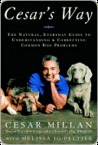 Cesar's Way: The Natural, Everyday Guide to Understanding and Correcting Common Dog Problems