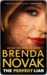 The Perfect Liar (ebook)