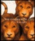 The Cinder-Eyed Cats (Hardcover)