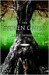 The Stolen Child