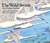 The Wild Swans