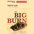 The Big Burn: Teddy Roosevelt and the Fire that Saved America (Audiobook)