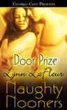 Door Prize (Naughty Nooners)
