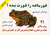 قورباغه را قورت بده (Paperback)