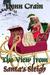 The View from Santa's Sleigh