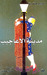مدينة الأعاجيب (Paperback)