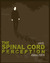 The Spinal Cord Perception by Joshua S. Porter The Spinal Cord Perception by Joshua S. Porter