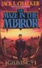 The Maze in the Mirror (G.O.D. Inc., #3)