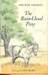 The Rain-Cloud Pony
