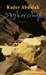 Spijkerschrift (Hardcover)